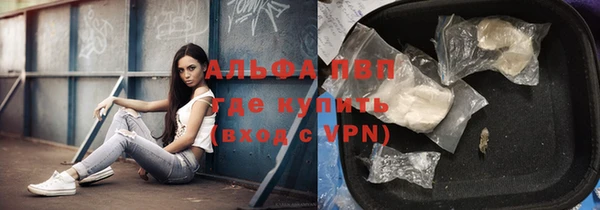 амф Елизово