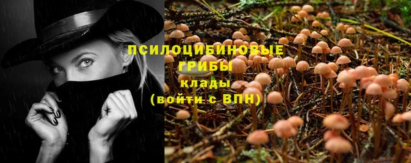 первитин Ельня