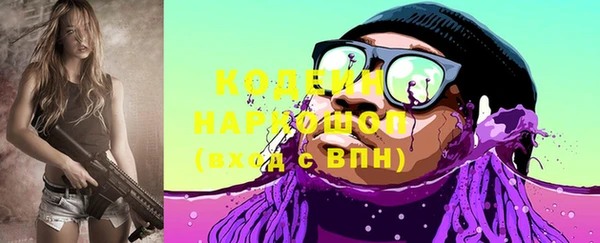 амф Елизово
