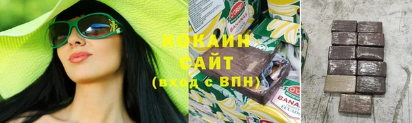 амф Елизово
