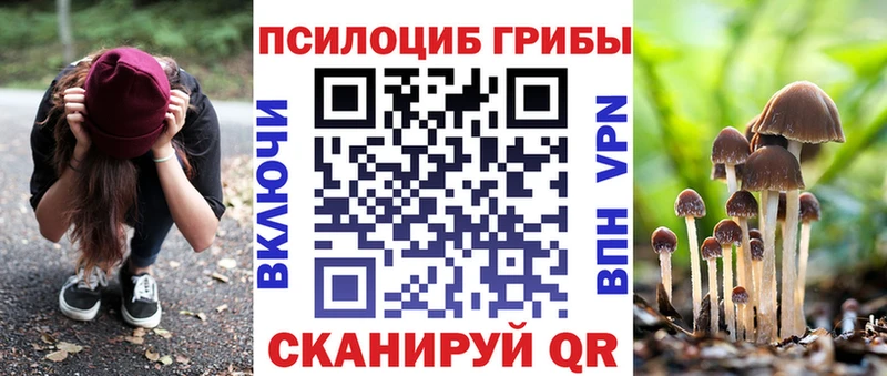 Галлюциногенные грибы Psilocybine cubensis KRAKEN как зайти Кудрово