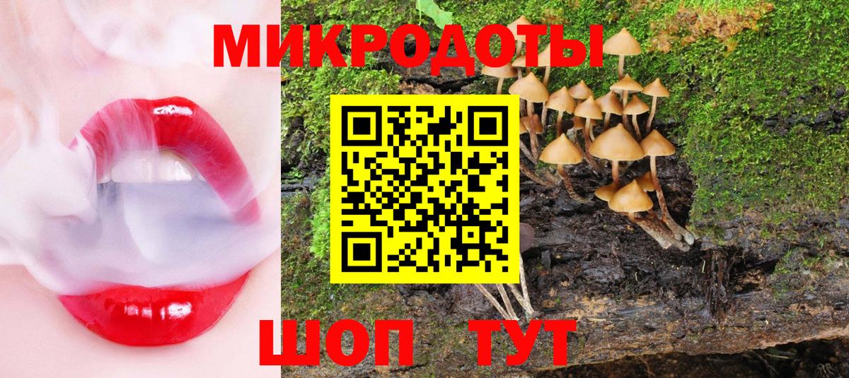 Галлюциногенные грибы ЛСД Кудрово
