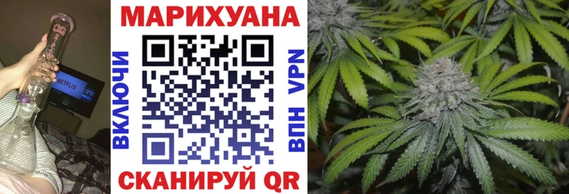 магазин    Кудрово  нарко площадка как зайти  Шишки марихуана план 
